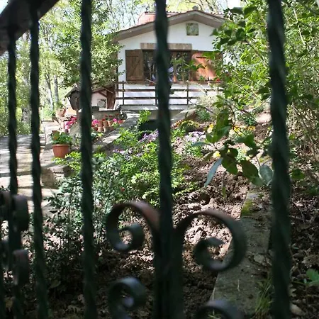 L'agrifoglio Francesca Bed & Breakfast Tolfa