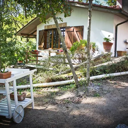 Bed & Breakfast L'agrifoglio Francesca *