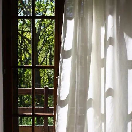 Bed & Breakfast L'agrifoglio Francesca