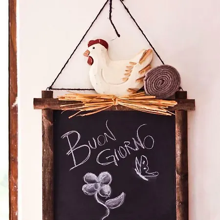 Bed & Breakfast L'agrifoglio Francesca Tolfa