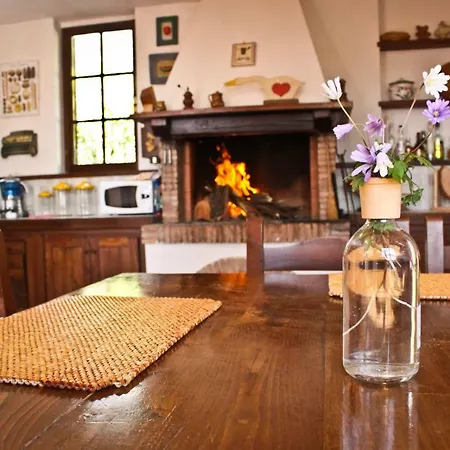 L'agrifoglio Francesca Bed & Breakfast Tolfa