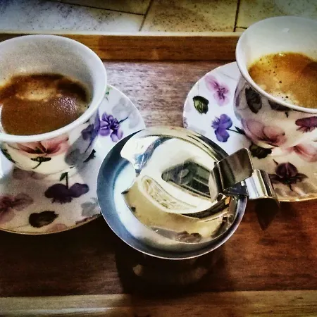 L'agrifoglio Francesca Bed & Breakfast Tolfa