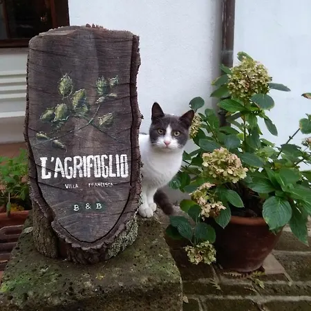 Bed & Breakfast L'agrifoglio Francesca Tolfa
