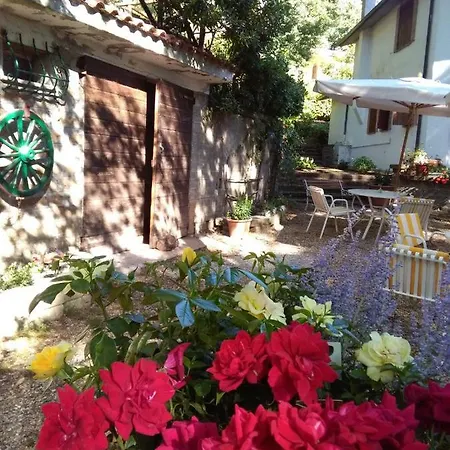 L'agrifoglio Francesca Bed & Breakfast Tolfa